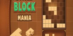 BlockPuzzle